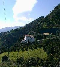 Las mejores ofertas de La Teja Álora